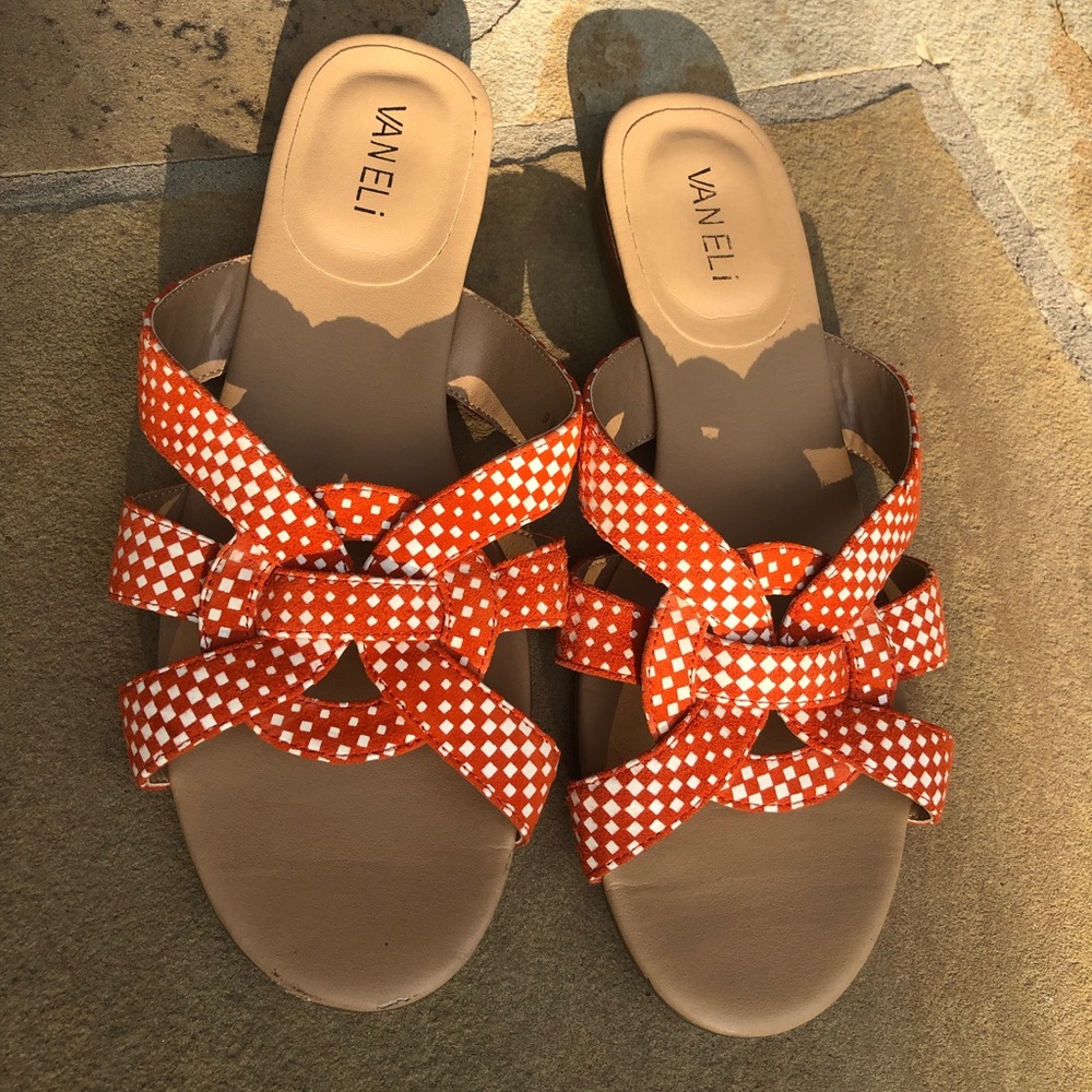 Vaneli Broska slides